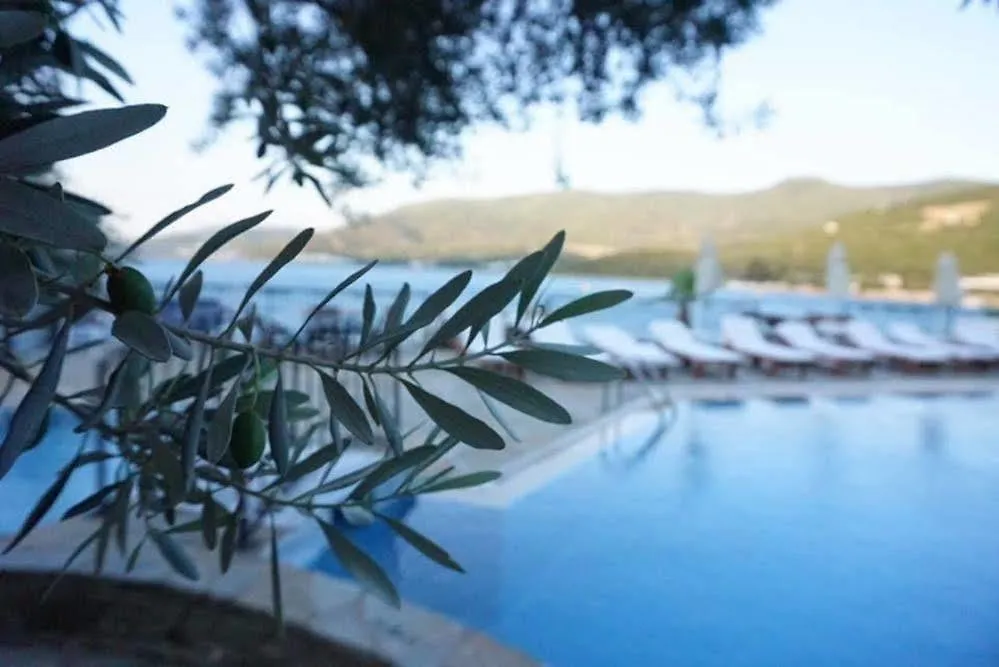 Omar Hotel&Suites Torba